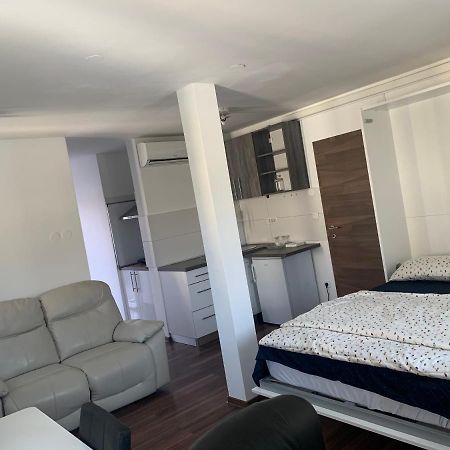 Prijetno Stanovanje Z Lastnim Parkiriscem. Samo 3 Km Od Centra Ljubljane. Laibach Exterior foto